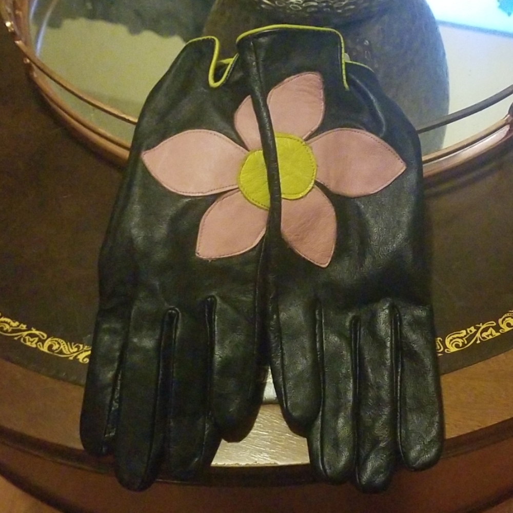 Pair of beautiful gloves